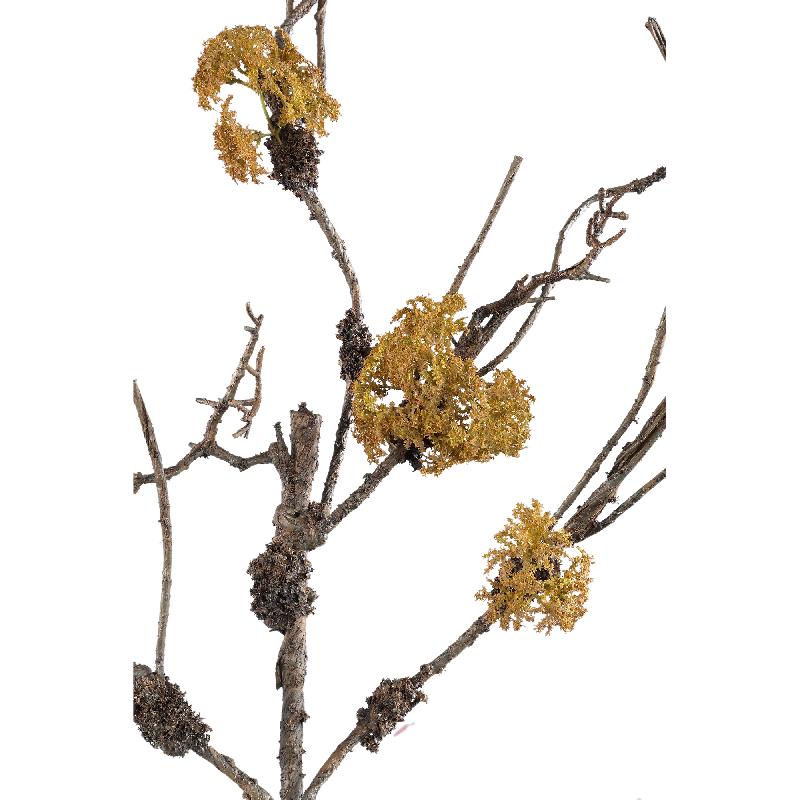 Twig Plant Bruine Tak Met Mos - Set van 6 Stuks 90x55x40 cm
