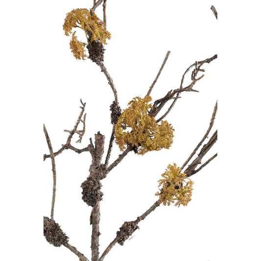 Twig Plant Bruine Tak Met Mos - Set van 6 Stuks 90x55x40 cm