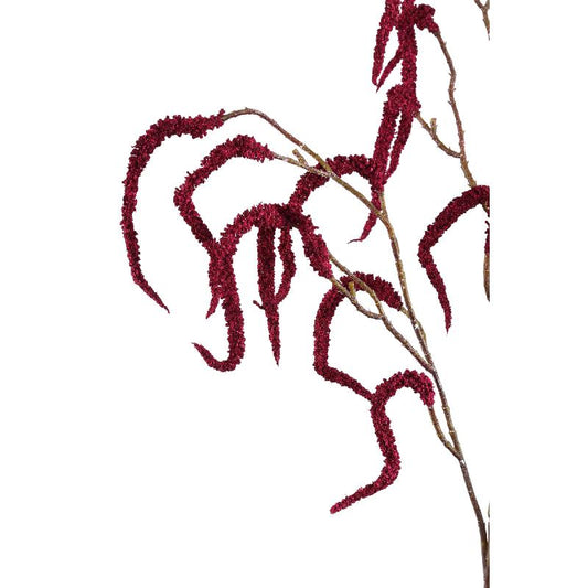 Twig Plant Burgundy Amaranthus Spray - Set van 12 71x36x31 cm