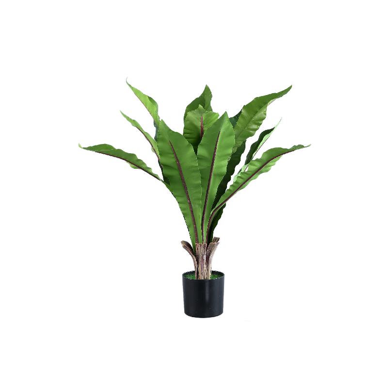 Leaves Plant Groen Asplenium Nidus Hoog in Pot - Set van 2 Stuks 72x72x72 cm