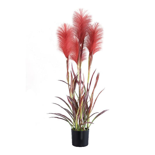 Grass Plant Bordeaux Pampasgras In Zwarte Pot Set Van 2 90x40x40 cm