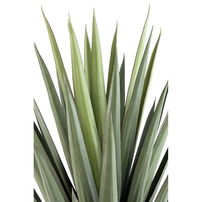 Leaves Plant Yucca In Zwarte Pot 118x82x82 cm