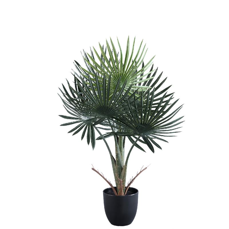 Tree Plant Trachycarpus Palm S Set van 4 Stuks 70x45x30 cm