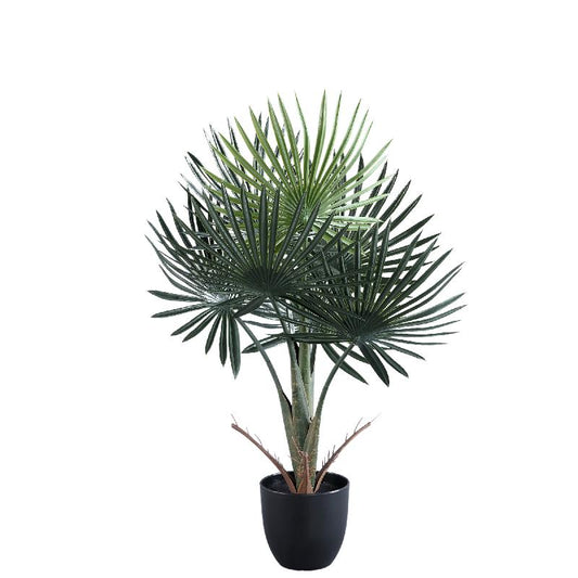 Tree Plant Trachycarpus Palm S Set van 4 Stuks 70x45x30 cm
