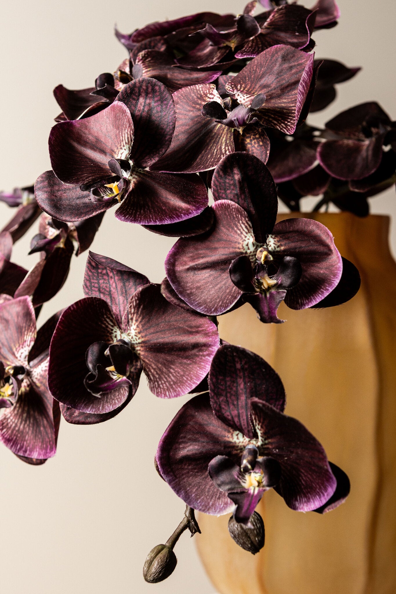Orchid Flower Bronzen Phalaenopsis Spray - Set van 6 138x18x8 cm