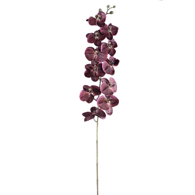 Orchid Flower Bronzen Phalaenopsis Spray - Set van 6 138x18x8 cm