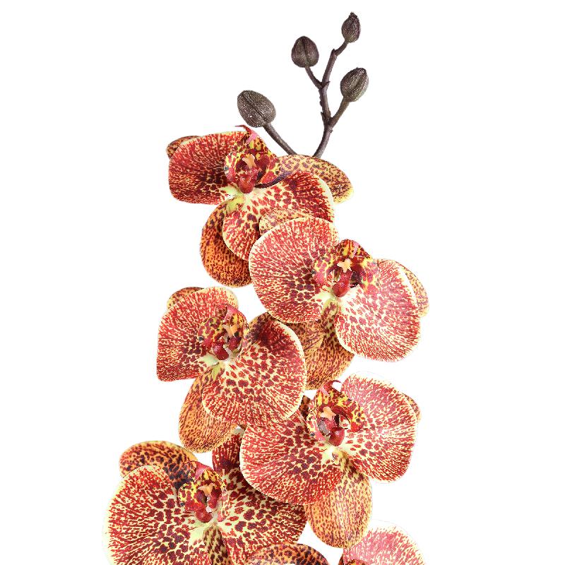 Orchid Flower Oranje Phalaenopsis Spray Set van 6 Stuks 138x18x8 cm