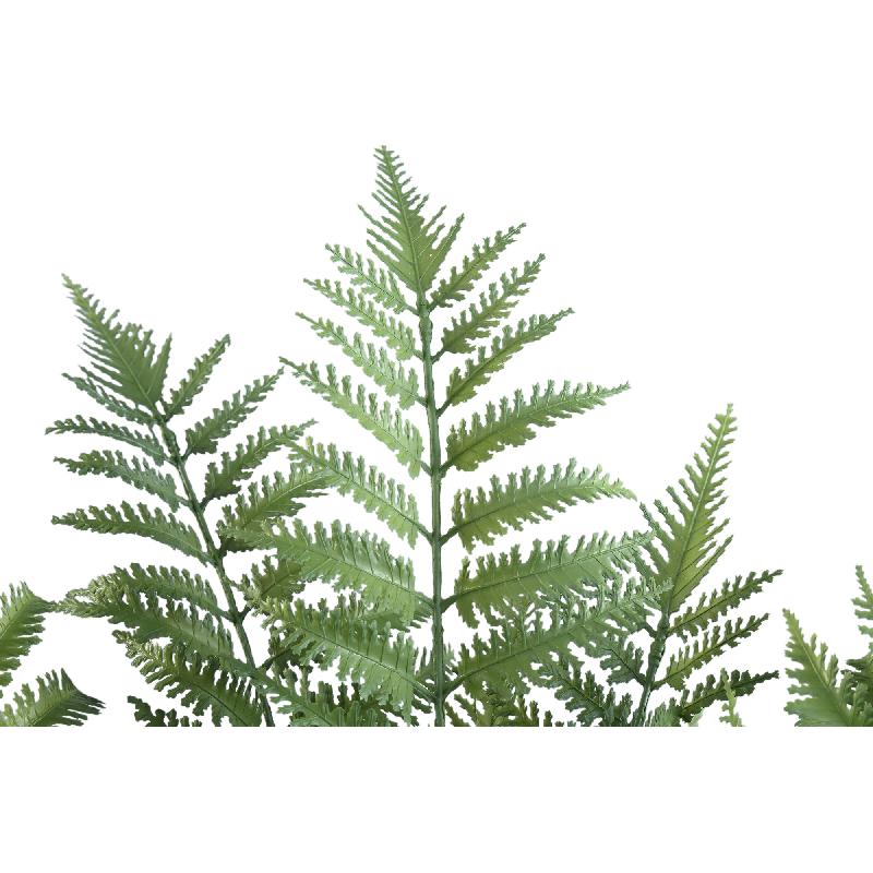 Fern Plant Groene Varen In Zwarte Pot 55x65x65 cm