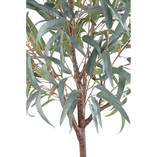 Tree Donkergroen Eucalyptus In Zwarte Pot 150x65x65 cm