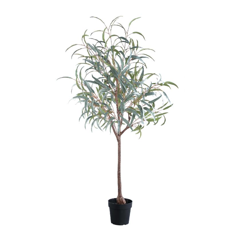 Tree Donkergroen Eucalyptus In Zwarte Pot 150x65x65 cm