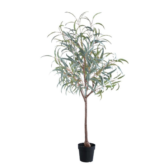 Tree Donkergroen Eucalyptus In Zwarte Pot 150x65x65 cm