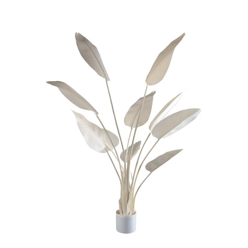 Leaves Plant Strelitzia Crème 150x85x73 cm