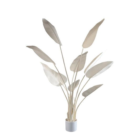 Leaves Plant Strelitzia Crème 150x85x73 cm
