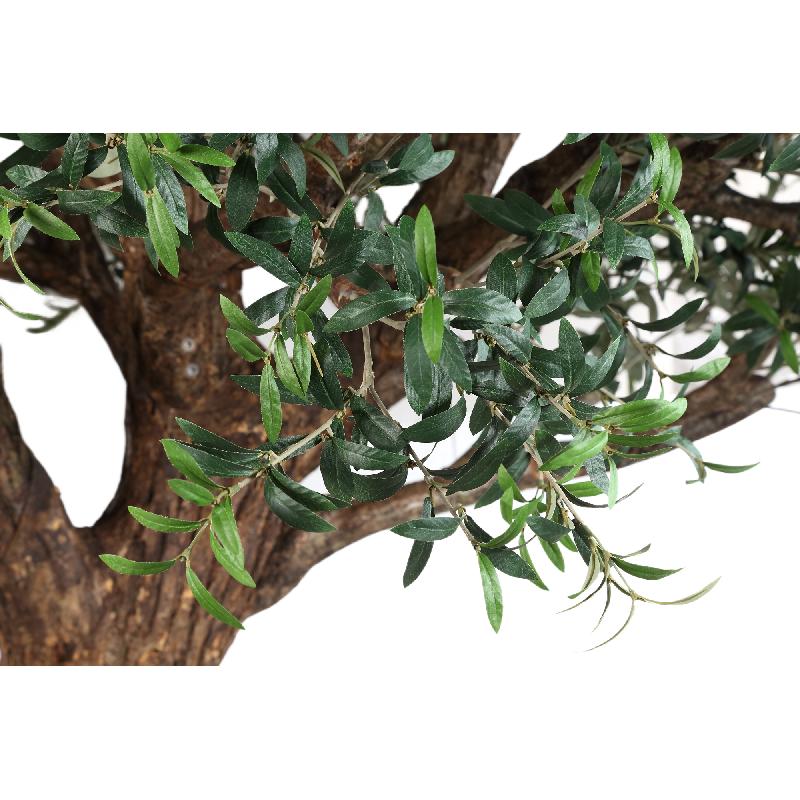 Tree Green Big Olijfboom Met Echt Houten Stam En Bast 260x220x220 cm