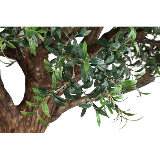 Tree Green Big Olijfboom Met Echt Houten Stam En Bast 260x220x220 cm