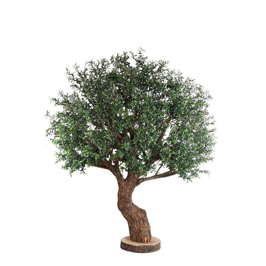 Tree Green Big Olijfboom Met Echt Houten Stam En Bast 260x220x220 cm