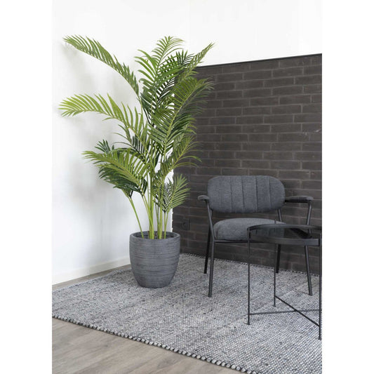 House Nordic ApS Areca palm
