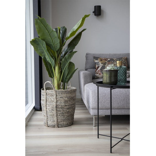 House Nordic ApS Bananenpalm