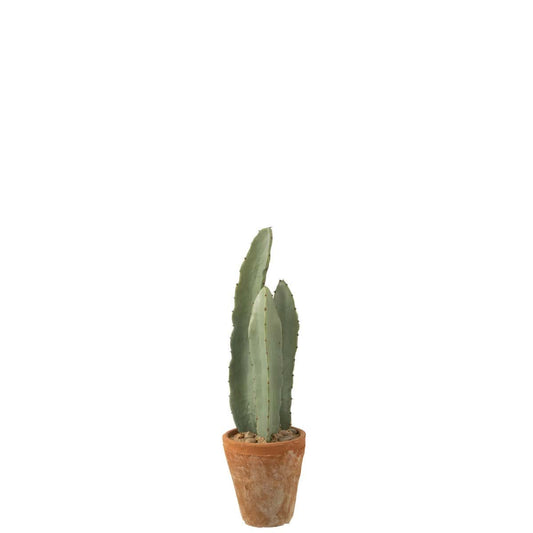 J-Line J-Line Cactus 3 Stuks In Pot Kunststof Groen Klein
