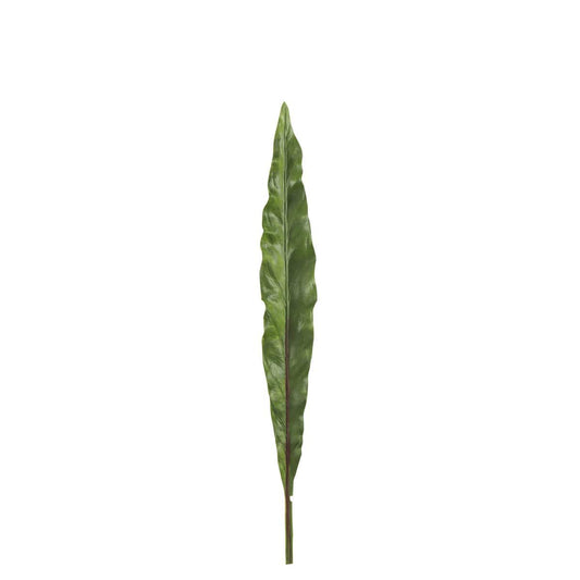 J-Line J-Line Canna Blad Tak Plastiek Groen Extra Large