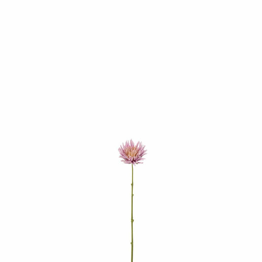 J-Line J-Line Chrysant Mini - kunststof - wit/lichtpaars - 24 stuks