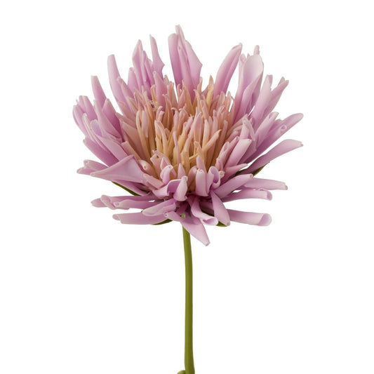 J-Line J-Line Chrysant Mini - kunststof - wit/lichtpaars - 24 stuks
