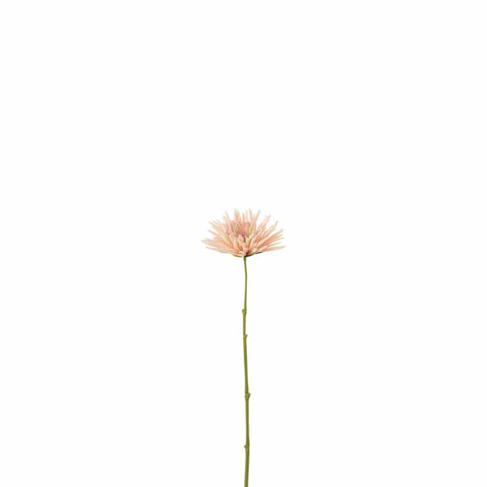 J-Line J-Line Chrysant Mini - wit/lichtroze - 24 stuks