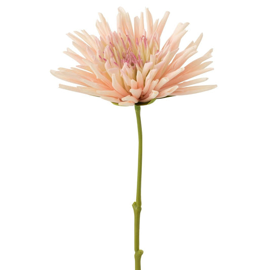 J-Line J-Line Chrysant Mini - wit/lichtroze - 24 stuks