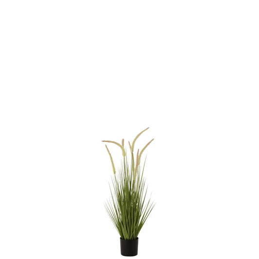 J-Line J-Line Grassen+Staarten In Pot Plastiek Groen Small