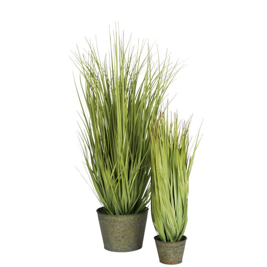 J-Line J-Line Grassen Wild In Pot Metaal Groen Plastiek Groen Large