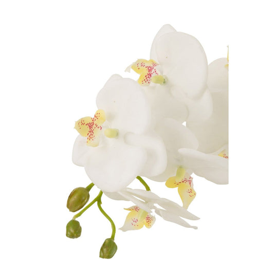 J-Line J-Line Orchidee In Aarde Plastiek Wit/Groen Large