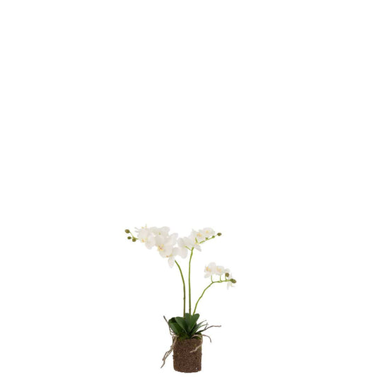 J-Line J-Line Orchidee In Aarde Plastiek Wit/Groen Medium