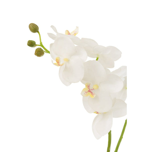J-Line J-Line Orchidee In Aarde Plastiek Wit/Groen Medium