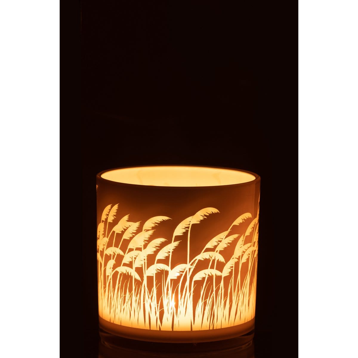 J-Line J-Line windlicht Pampas - glas - beige/wit - large