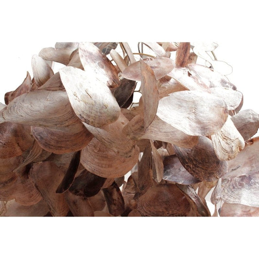 Pole To Pole K15 Oyster Lamp Shade