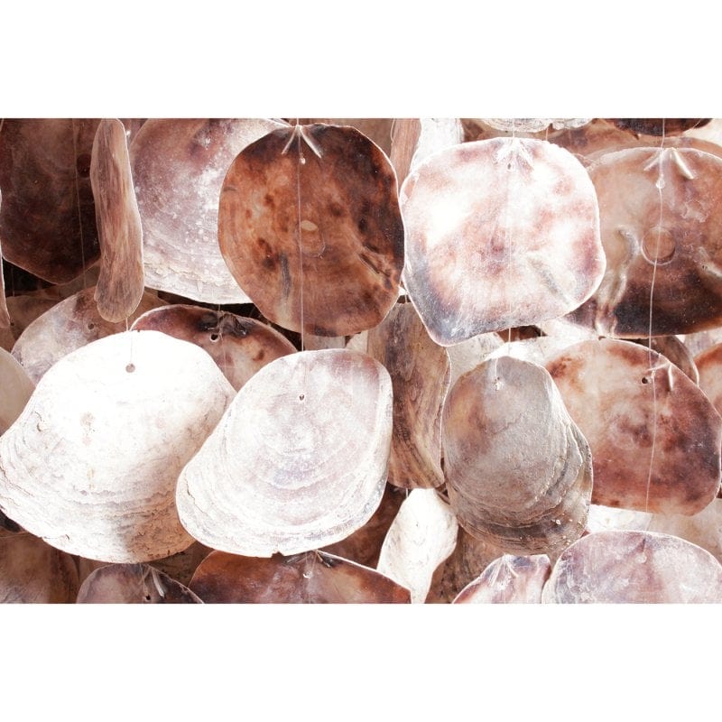 Pole To Pole K15 Oyster Lamp Shade