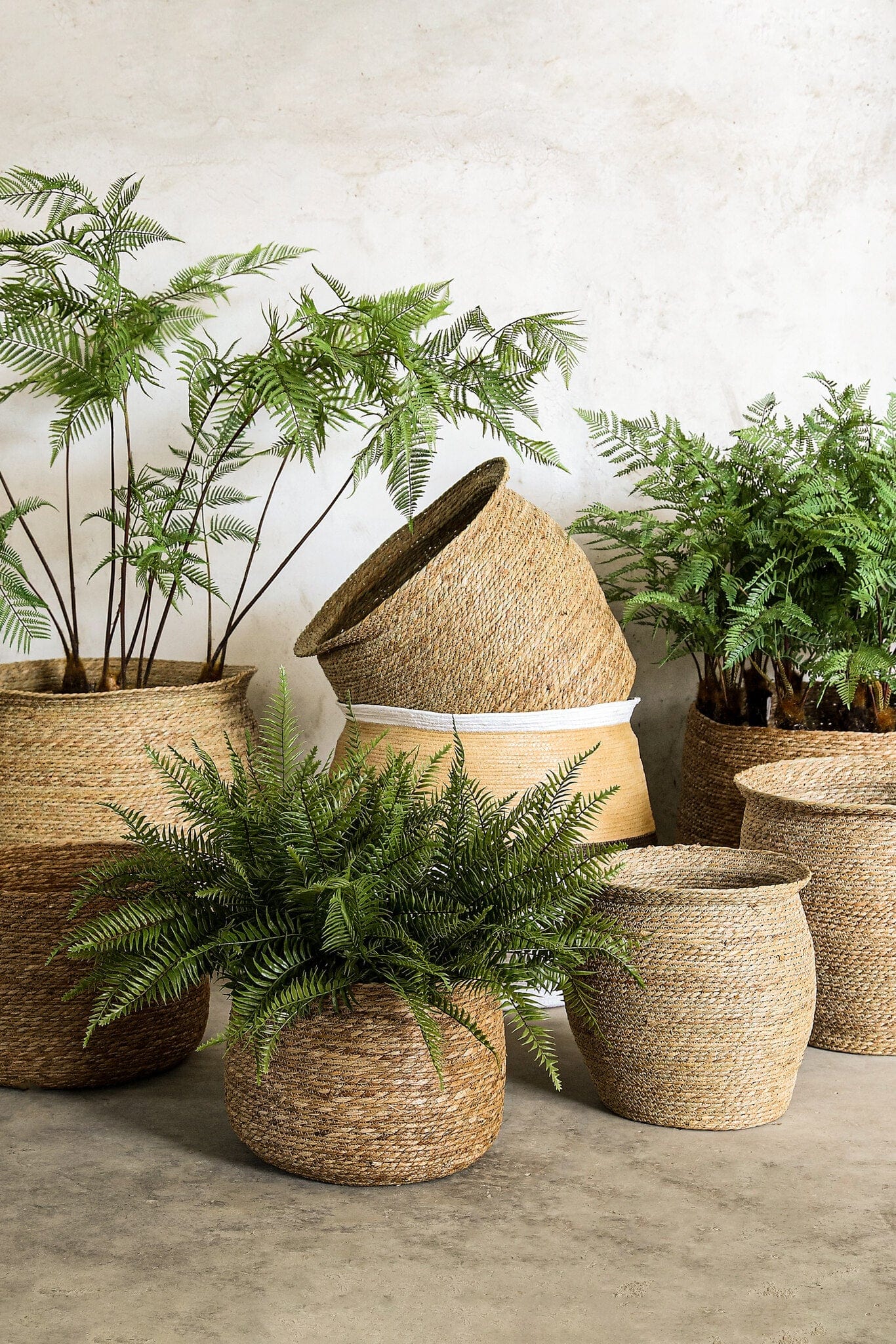 PTMD Korbin Bruin zeegras ronde korfkranen SV4