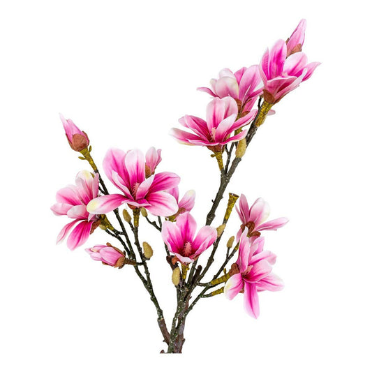 House Nordic ApS Magnoliaboom - Groen, Roze
