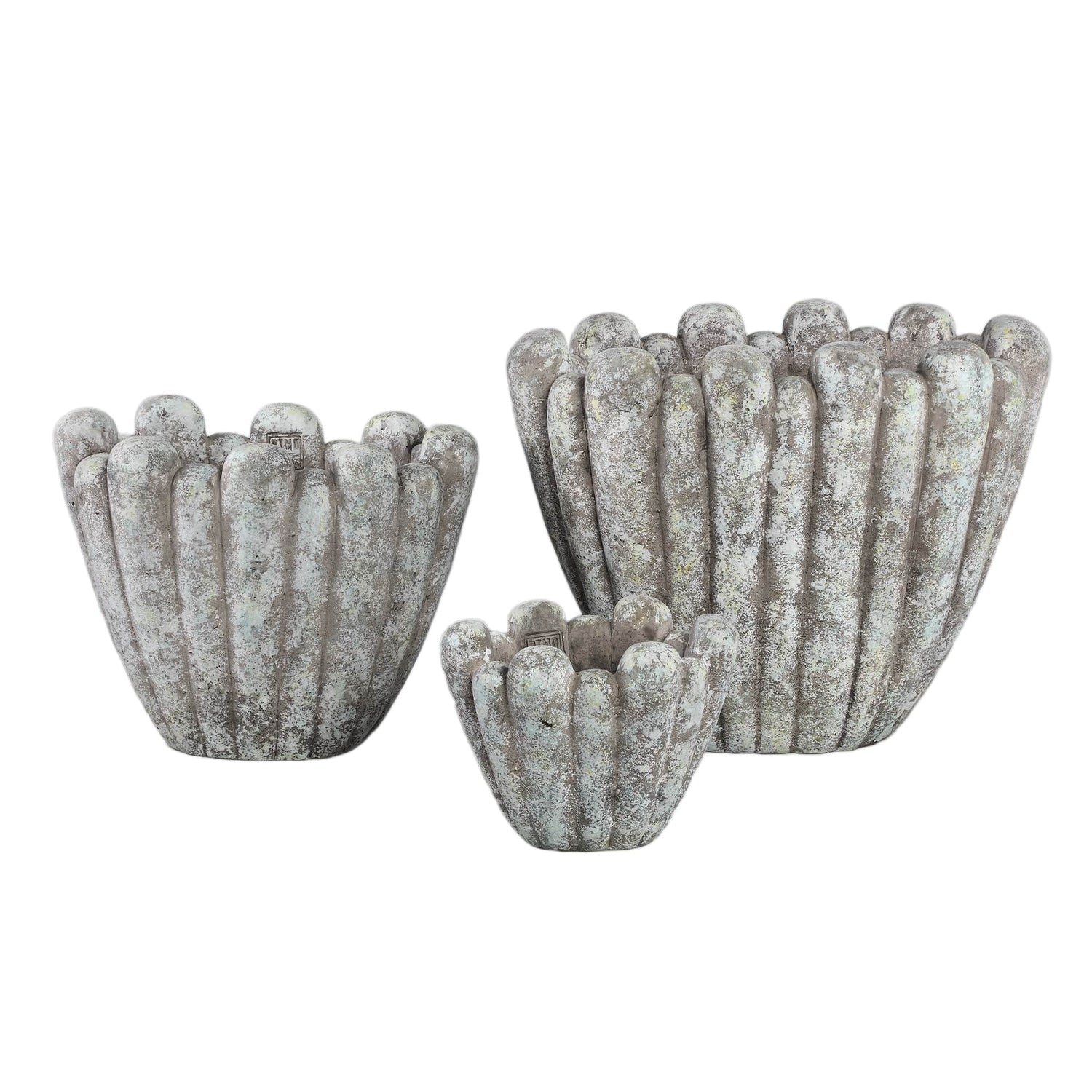 PTMD Mintergrijze cementpot organische vorm ovaal hoog L