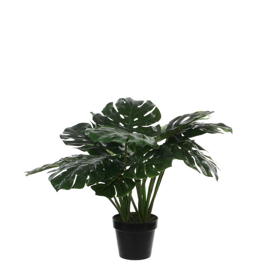Mica Decorations Monstera Kunstplant - H60 x Ø80 cm - Groen