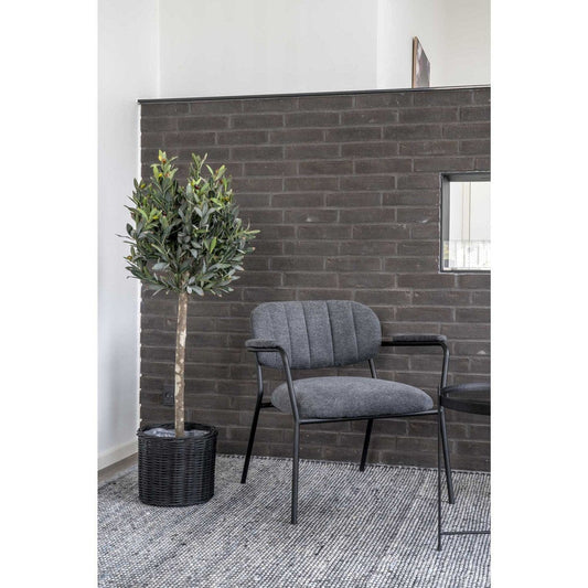 House Nordic ApS Olijfboom