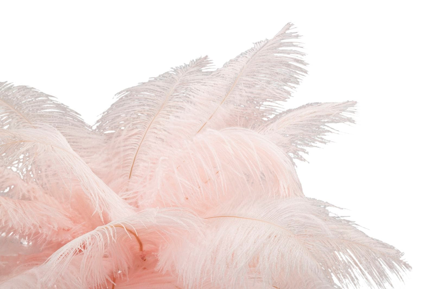 Mauro Ferretti TABLE LAMP PALM PINK CM Ø 40X55