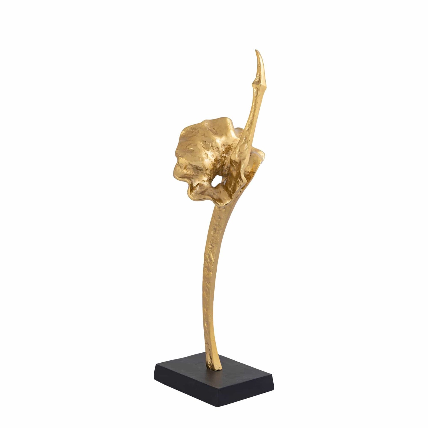 PTMD Yobie Gold gegoten alu zwaanbeeld zwarte voet L